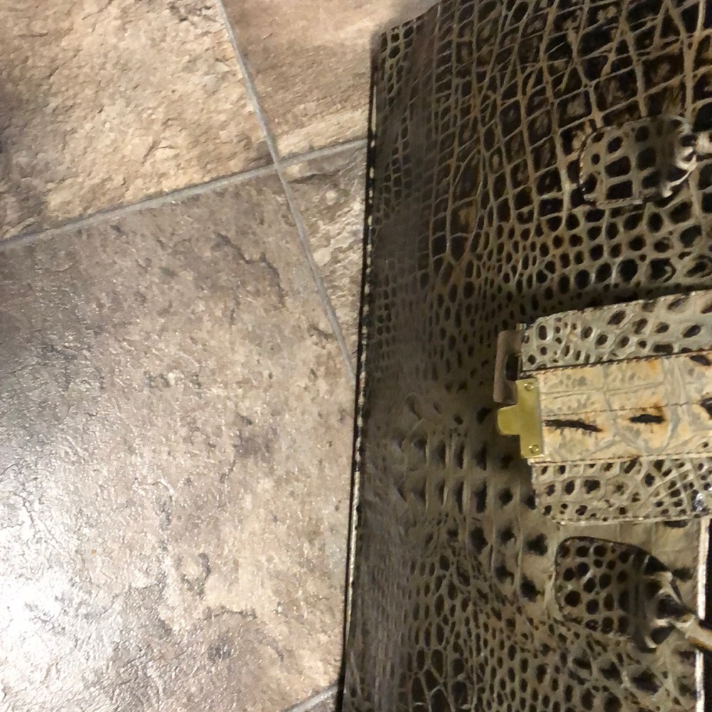 Croc bag